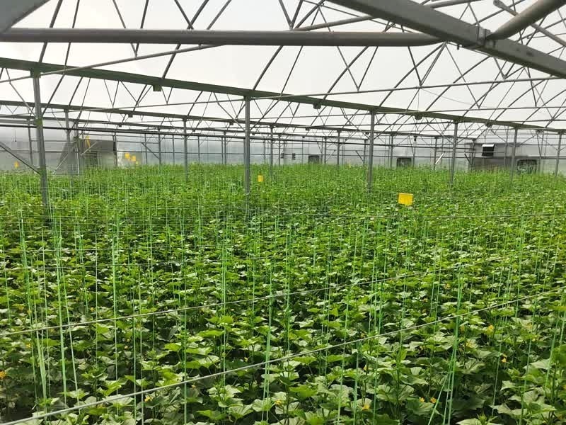 بازدید از پروژه گلخانه ای در سبزوار-1402