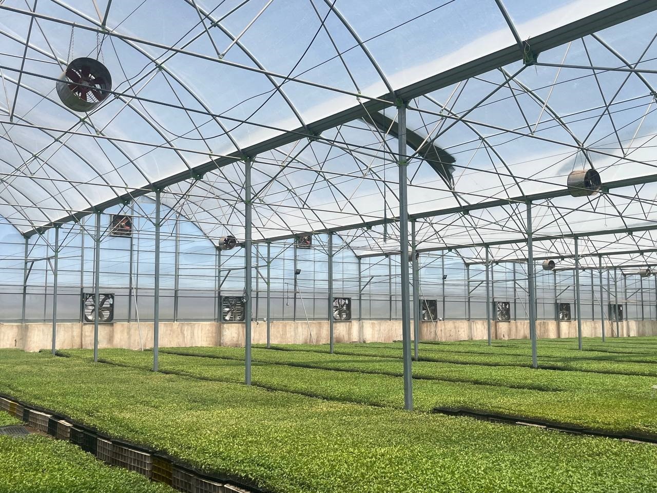 بازدید از پروژه های گلخانه ای، فریمان-1404