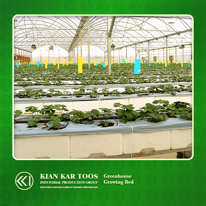 بستر کشت هیدروپنیک بستر کشت هیدروپنیک