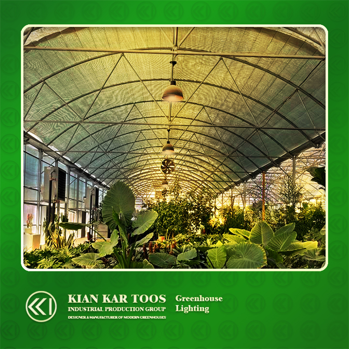 فن سیرکوله و فوگر